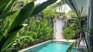 Unclassified image, 2 of 21, button - Villa Ozamiz (Seminyak)