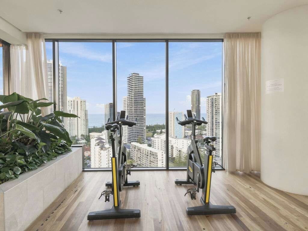 A room with two exercise bikes, a large window with a city view, and a plant on the left.