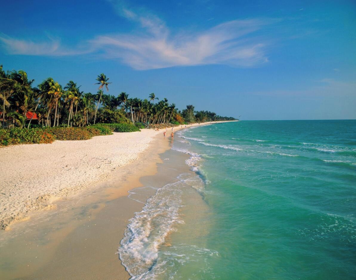 A beach with clear turquoise water, sandy shore, and palm trees.