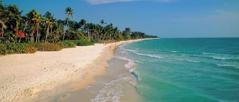 A beach with clear turquoise water, sandy shore, and palm trees.