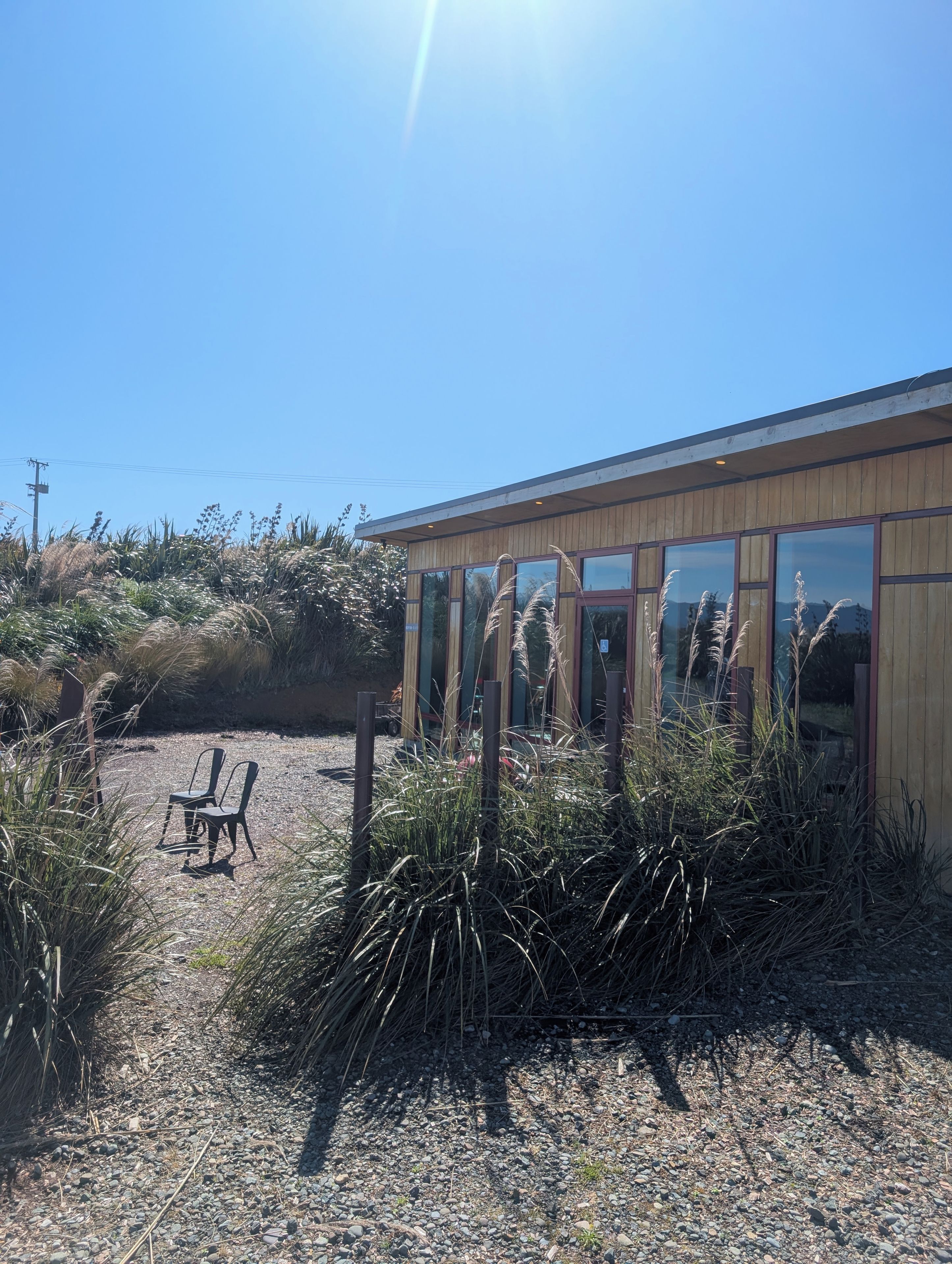 A building with large windows, surrounded by gravel and tall grasses.