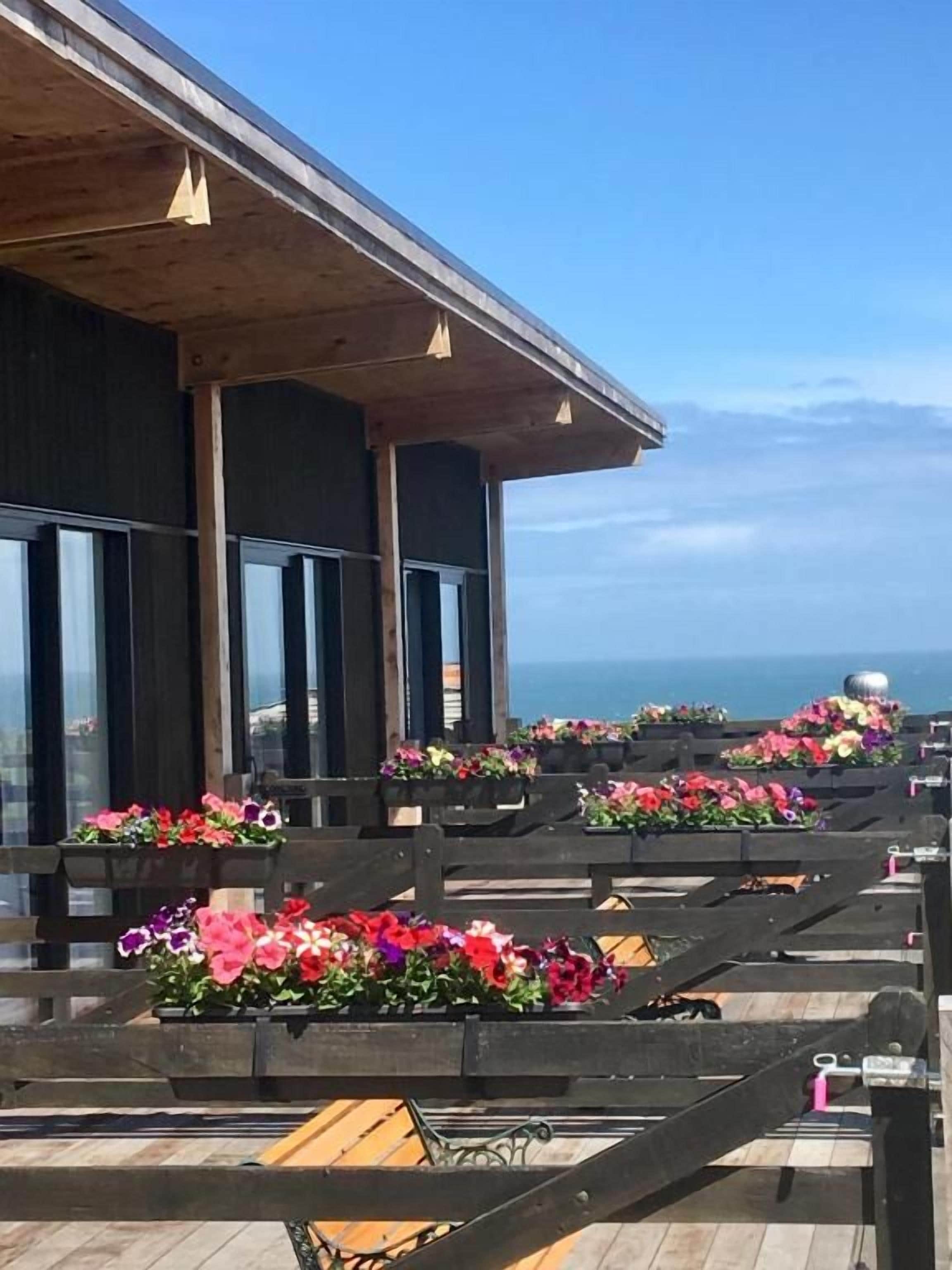 Una terraza de madera con macetas de flores y vista al océano.