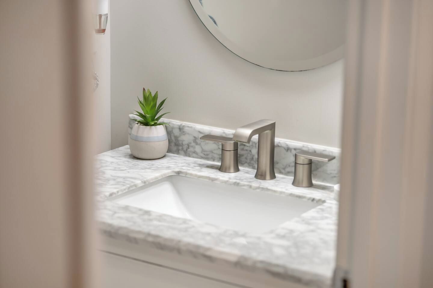A bathroom with a white sink, a potted plant, and a mirror.