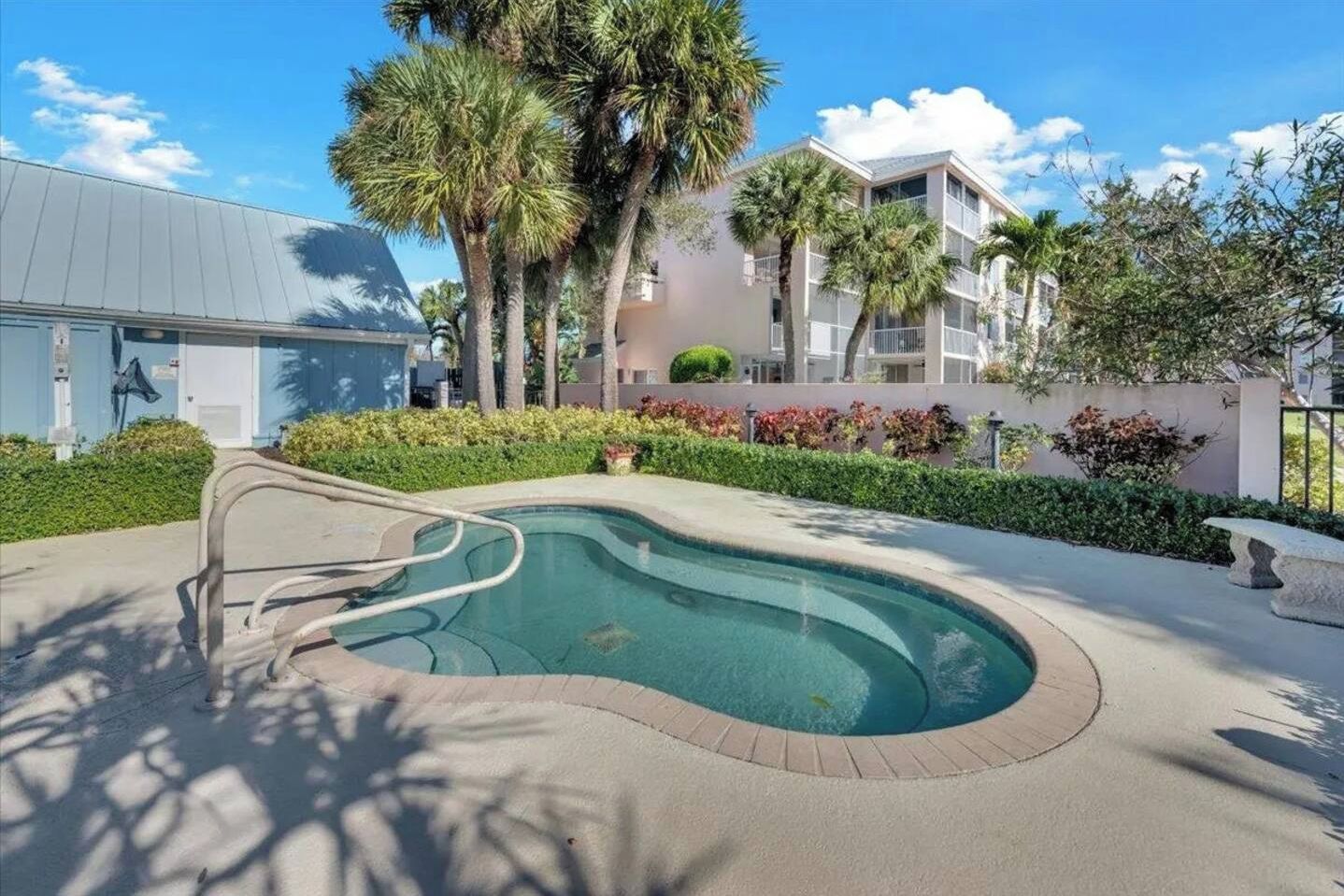 Ein Pool mit gewölbter Kante, umgeben von einem niedrigen Heckenstreifen und Palmen.