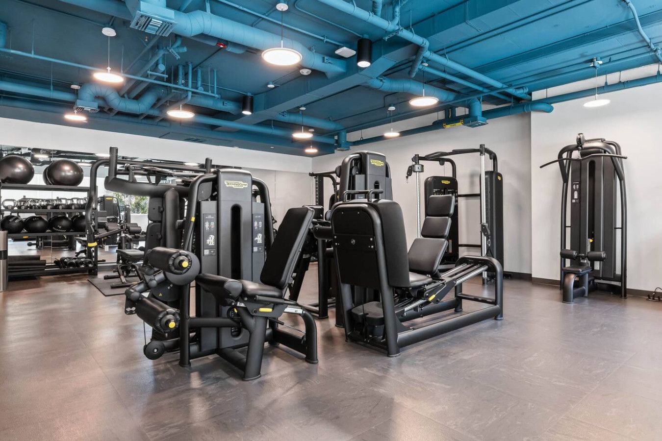 Une salle de sport équipée de divers appareils d’exercice, de supports à poids et dotée d’un mur recouvert de miroirs.