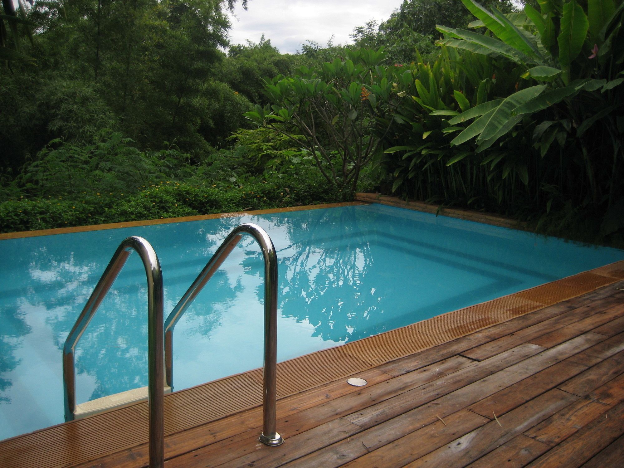 Ein Schwimmbecken mit Holzdeck und Metallgeländern, umgeben von üppiger Vegetation.