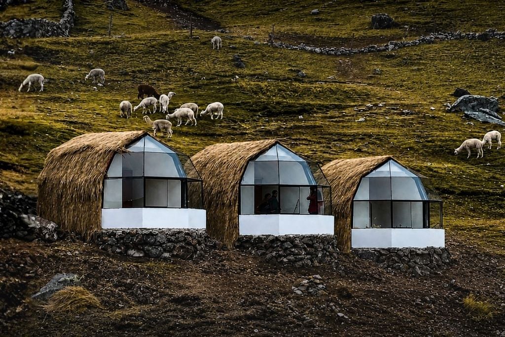 Drie berghutten met rieten daken en glazen ramen, gelegen op een heuvel met schapen die grazen op de achtergrond.