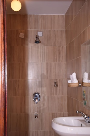 Een badkamer met een douche, wastafel en spiegel.