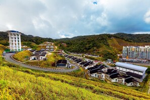 未分類圖片，第 2 張 (共 25 張)，按鈕