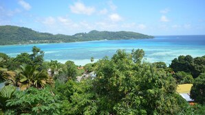 Unclassified image, 3 of 19, button - Manfiyo (Mahé Island)