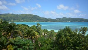 Unclassified image, 4 of 19, button - Manfiyo (Mahé Island)