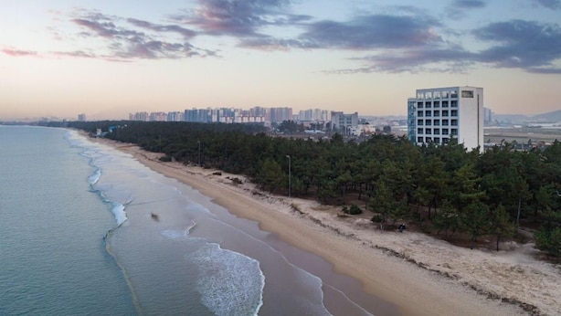 Beach - Avvio Hotel (Gangneung)