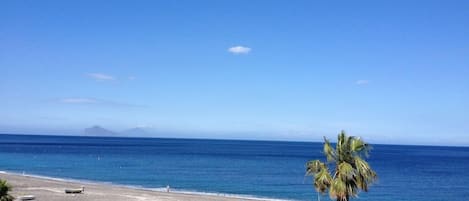 A beach with boats, palm trees, and a clear sky.