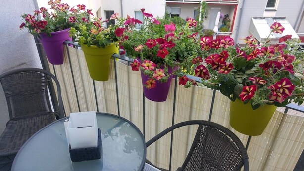 Outdoor dining - Apartment Rainer Zufall (Leipzig)