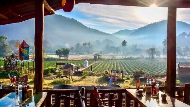 Unclassified image, 1 of 28, button - Wongwan Farm (Si Racha)