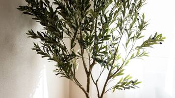 Ein Blumentopf mit einem Olivenbaum steht in einer Ecke des Raumes, zusammen mit einem gewebten Korb und einem Teppich auf dem Boden.