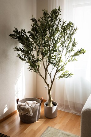 Ein Blumentopf mit einem Olivenbaum steht in einer Ecke des Raumes, zusammen mit einem gewebten Korb und einem Teppich auf dem Boden.