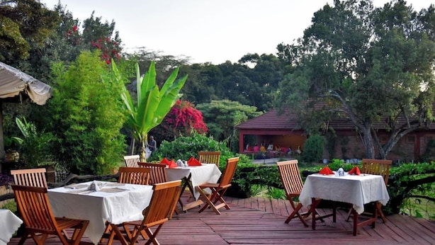 Outdoor dining - Mara Chui Camp (Maasai Mara)