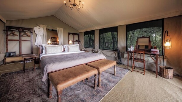 Unclassified image, 1 of 50, button - Elephant Pepper Camp (Maasai Mara)