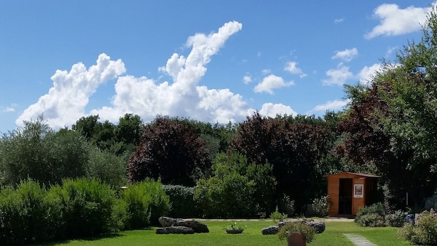 Pool - Agriturismo I Sicomori (Manciano)
