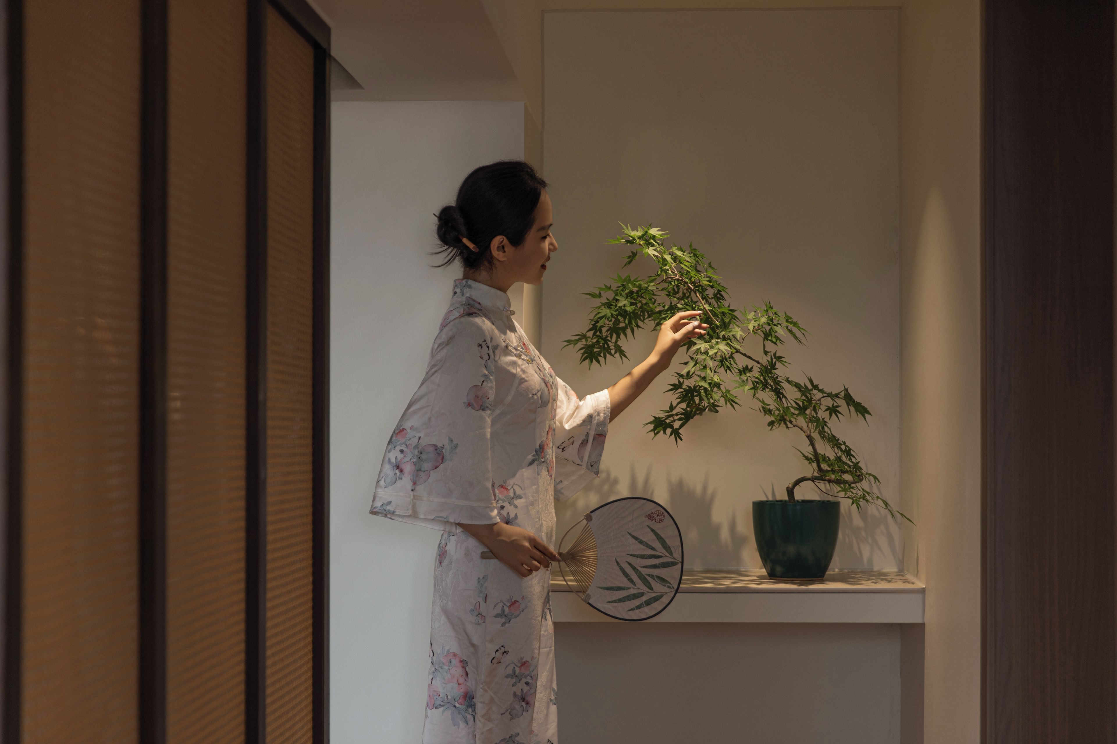 A person in a room with a potted plant on a shelf and a decorative fan.