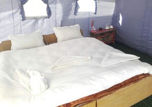 Unclassified image, 5 of 27, button - Eco Travellers Camp (Leh)