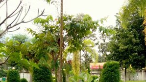 Property grounds - Nan @ Pua (Pua)