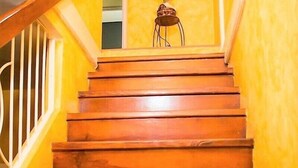 Unclassified image, 5 of 9, button - New Kingston Guest Apt At The Stadium (Kingston)