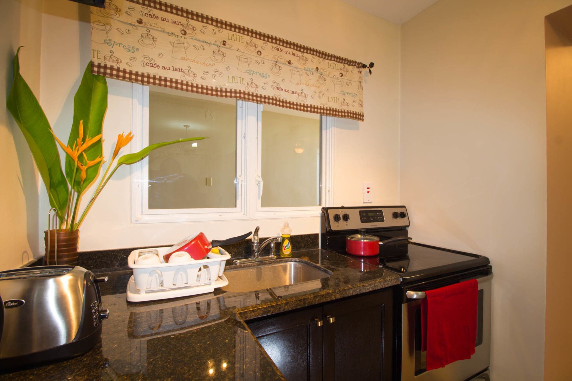 A kitchen with a stove, a sink, a toaster, a potted plant, and a window with a patterned curtain.
