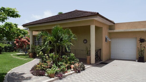 Exterior - New Kingston Guest Apt At Evans (Kingston)