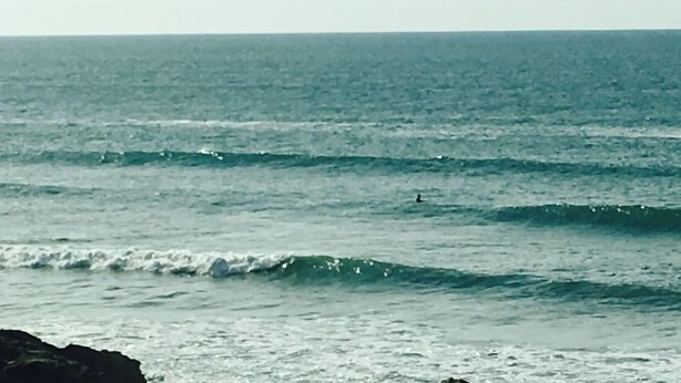 Beach - Lazy Waves Boutique B&B (Newquay)