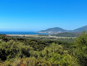 Eine Küstenlandschaft mit einem Berg, dichtem Grün und blauem Himmel.
