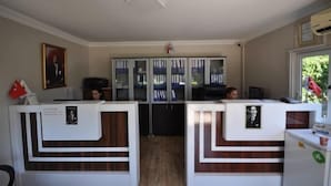 Zona de recepción con dos mostradores, un retrato enmarcado a la izquierda y una ventana con vista a follaje.