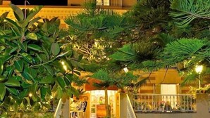 Um edifício com escadaria que leva a uma porta, rodeado por plantas e vegetação em vasos.