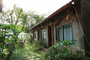Ảnh chưa phân loại, 2 trong số 50 ảnh, nút