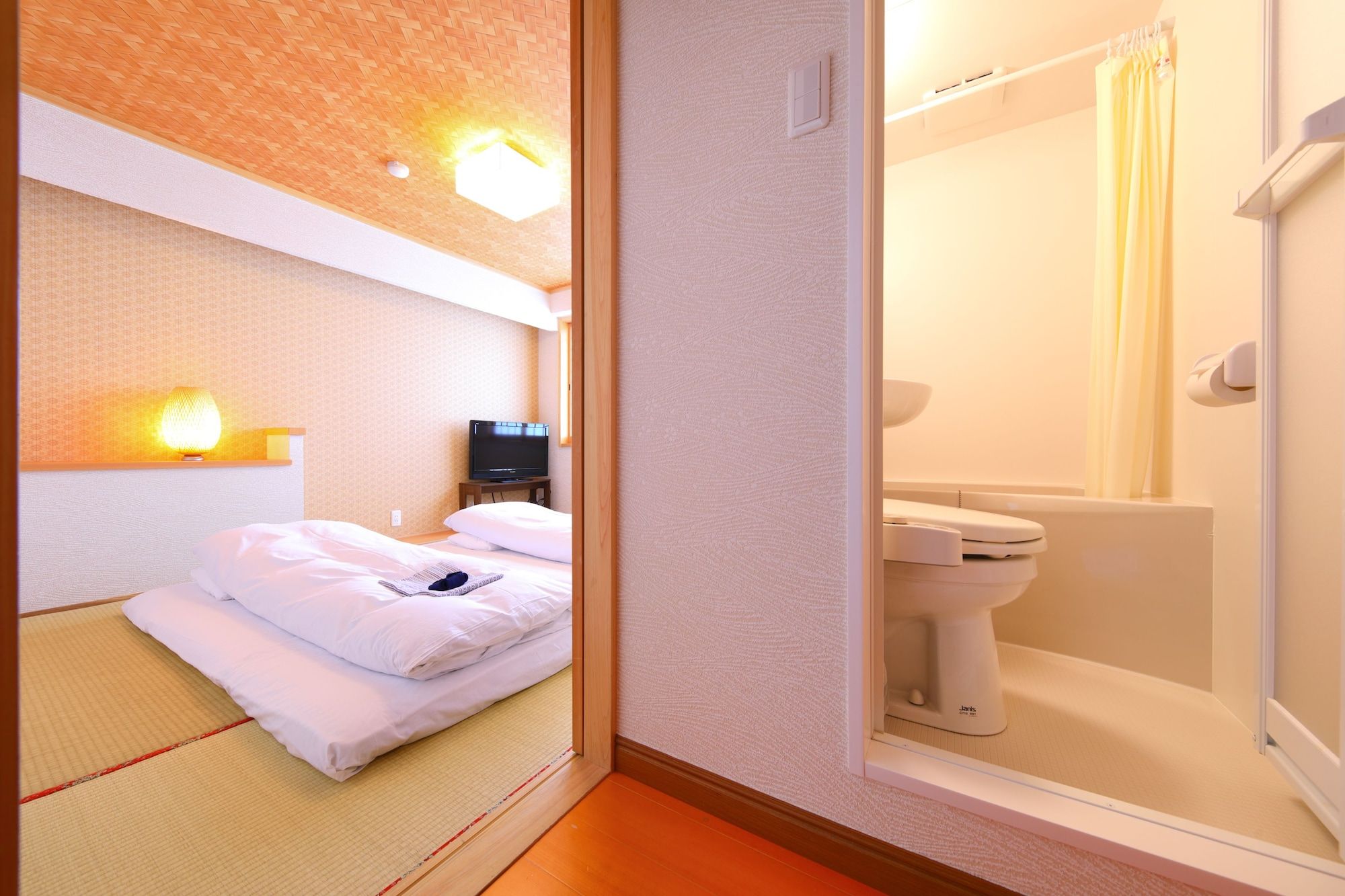 A hotel room with a bed, a television, a bathroom with a toilet and a shower.