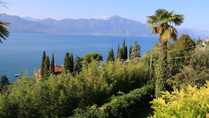 Unclassified image, 4 of 37, button - Villa Patrizia (Torri del Benaco)