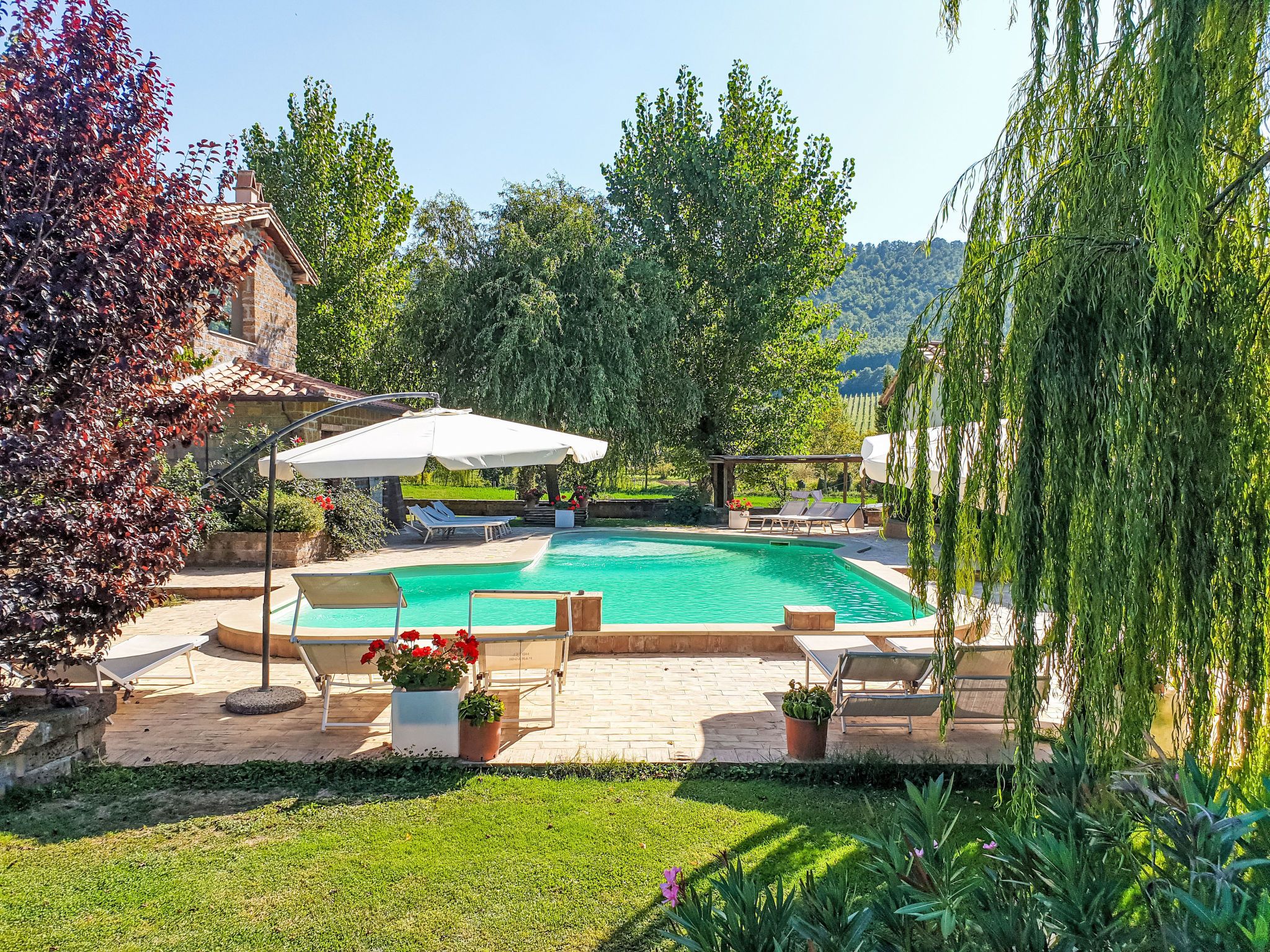 A swimming pool with lounge chairs and umbrellas, surrounded by greenery and a view of hills.