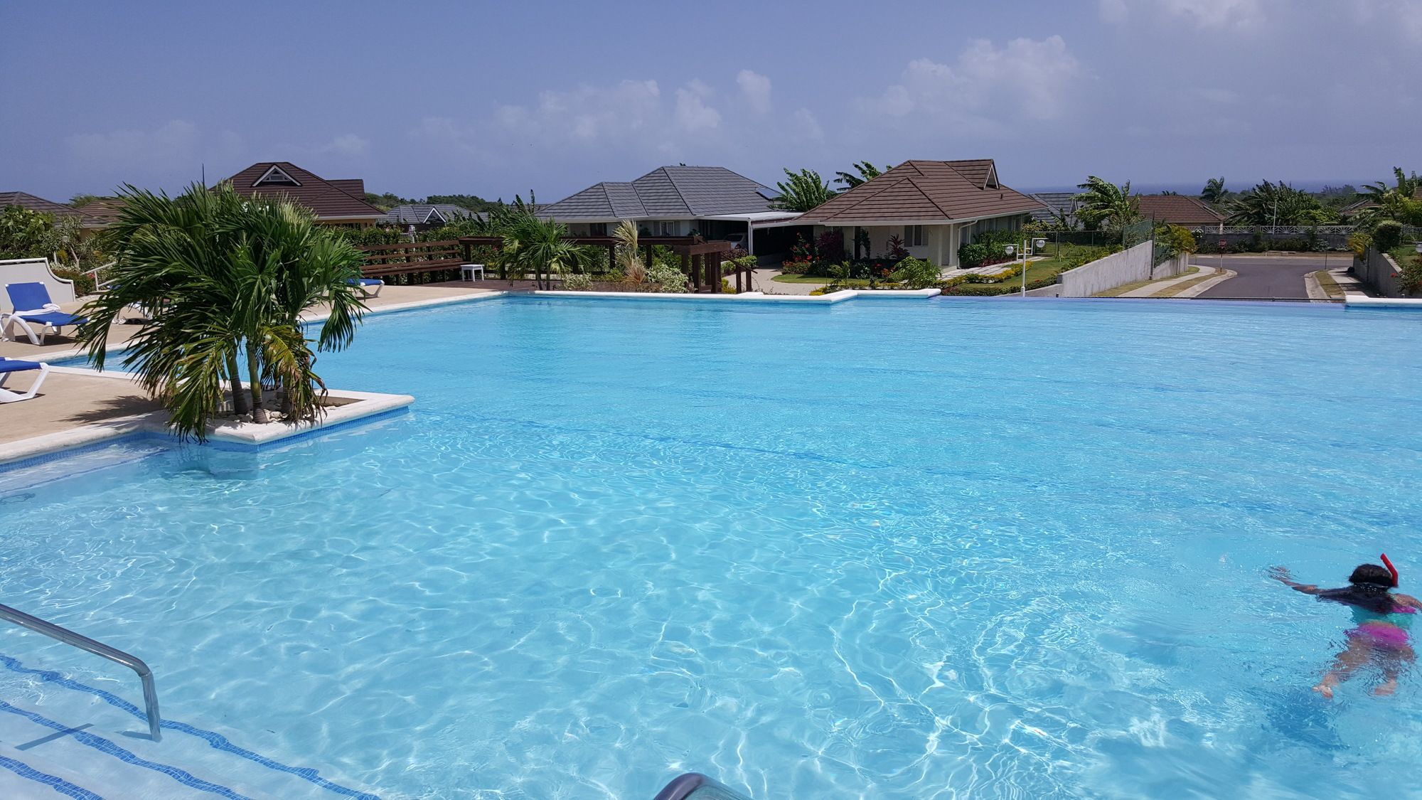 A swimming pool with clear blue water, surrounded by lounge chairs and palm trees.