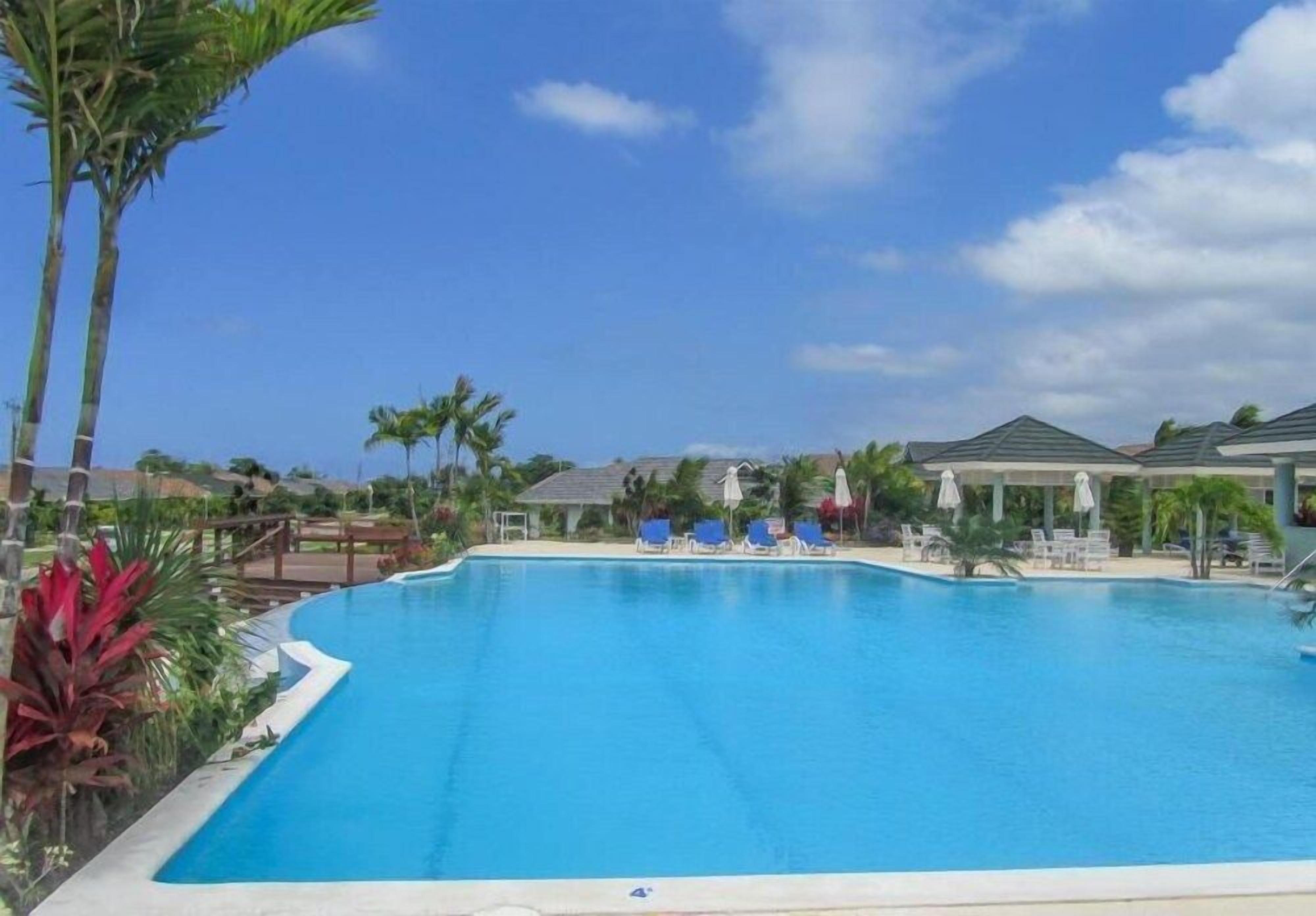 A swimming pool with lounge chairs and umbrellas, surrounded by palm trees and a clear sky.