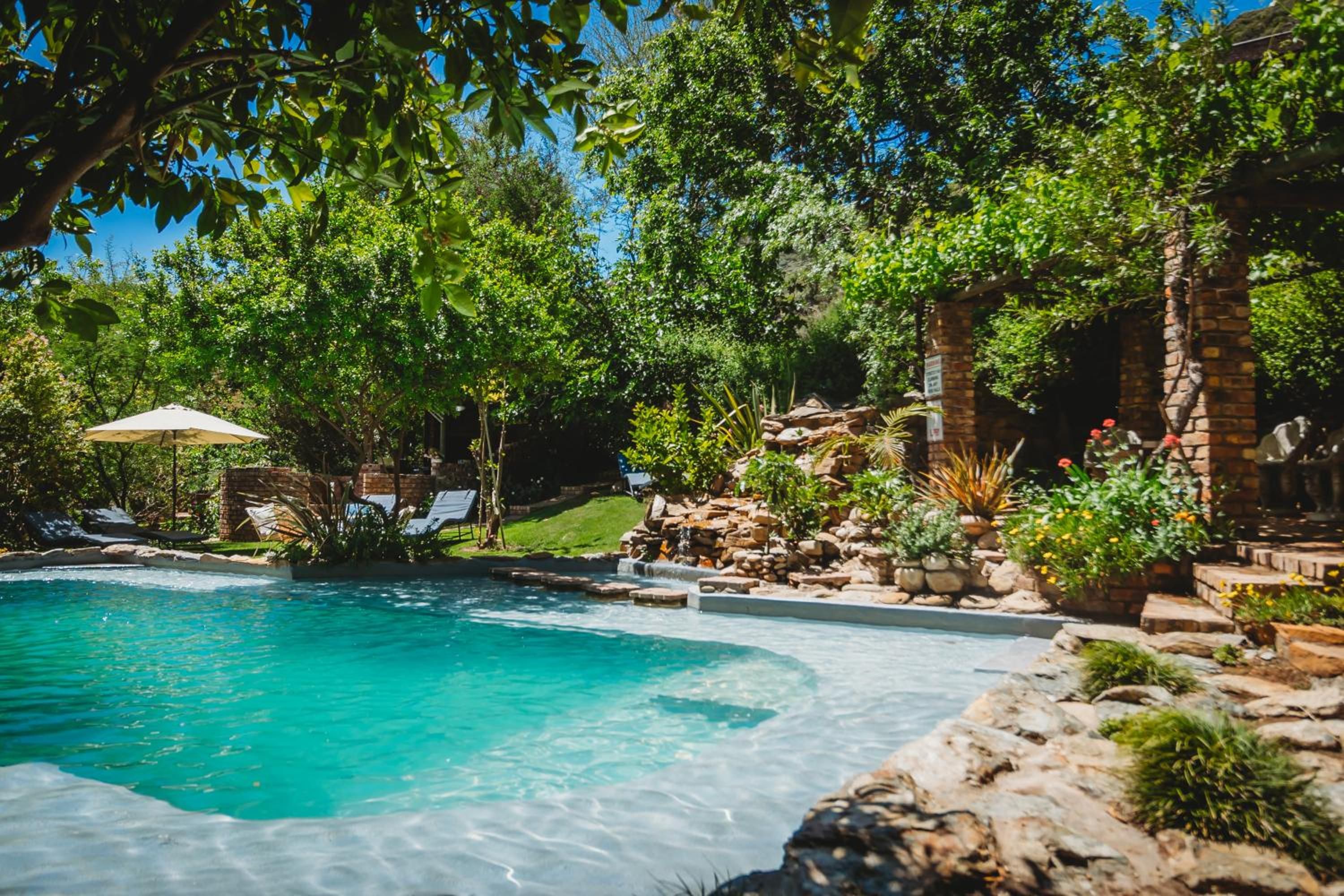 A swimming pool surrounded by lush greenery and a brick structure.