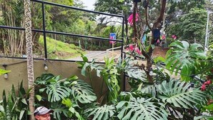 Unclassified image, 5 of 65, button - Cabinas El Pueblo B&B (Monteverde)