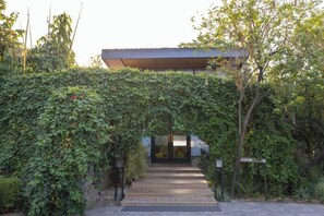 Entrada d'un edifici amb un camí que condueix a una zona de recepció, envoltada de vegetació.
