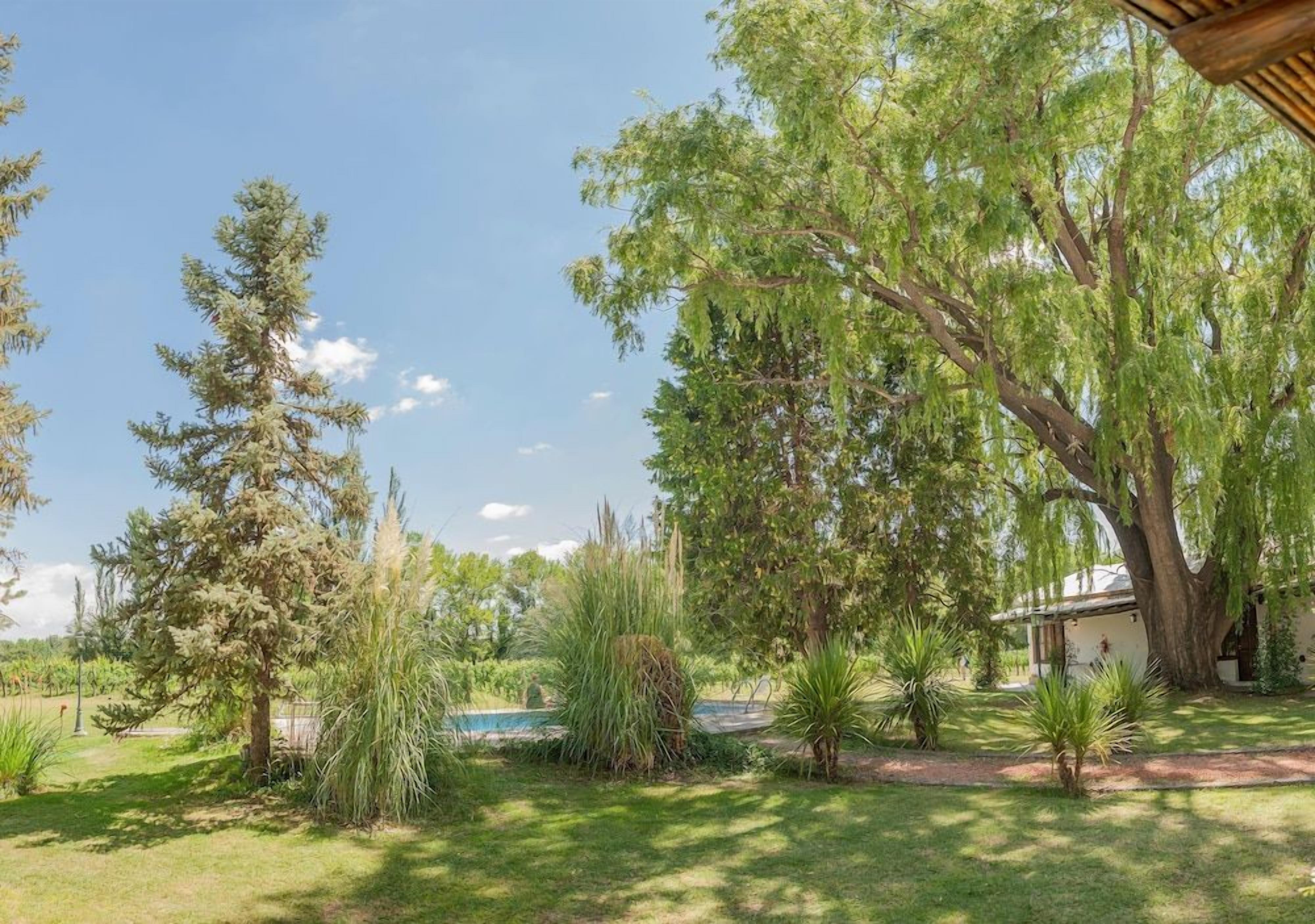 A well-maintained garden with a variety of trees and shrubs, a clear sky, and a building in the background.