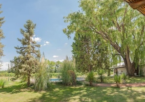 Un jardin bien entretenu, avec une variété d’arbres et d’arbustes, un ciel dégagé et un bâtiment visible au loin.