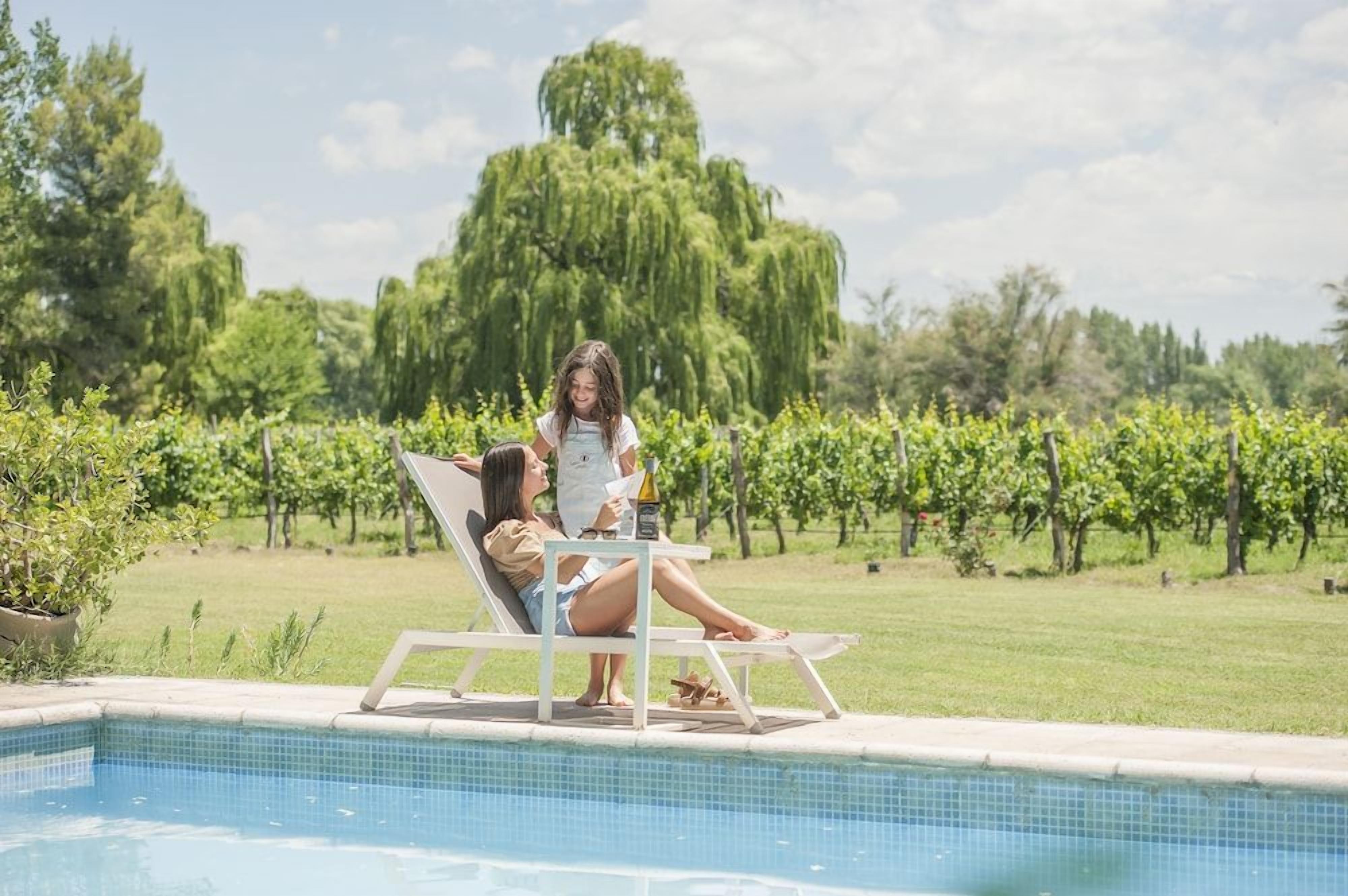 Zona de piscina con una silla de descanso y una mesa, rodeada por un viñedo.