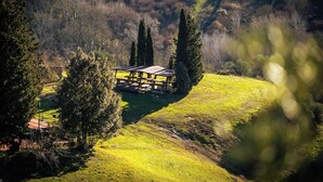 Outdoor dining - Agriturismo Il Poggio (Montaione)