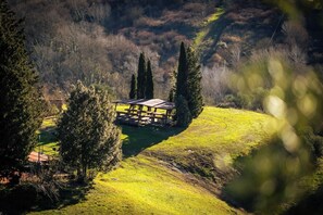 Outdoor dining - Agriturismo Il Poggio (Montaione)