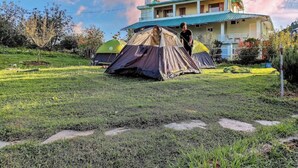 Exterior - The Chirping Orchard (Dhari)