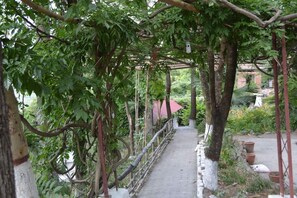 Property grounds - The Cottage Jeolikot by Opensky (Nainital)